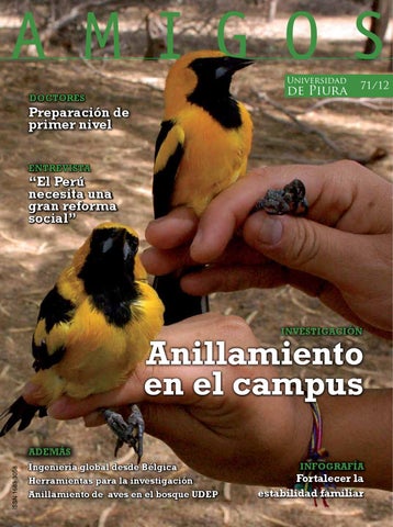 Revista Amigos 71