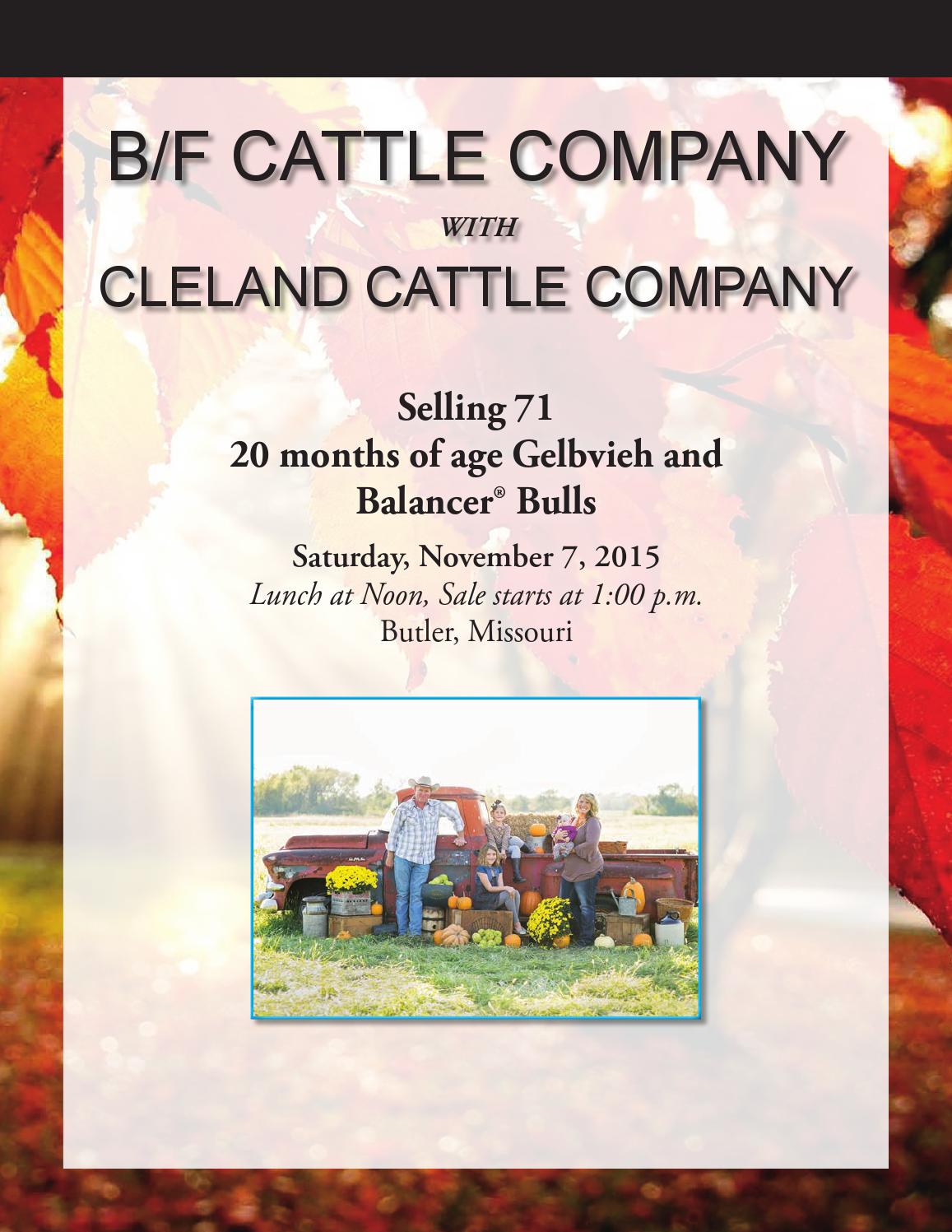 Cattle company coupons
