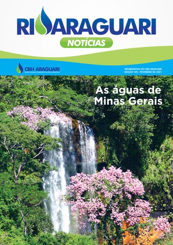 Informativo Online - Rio Araguari Notícias -- 105ª Edição