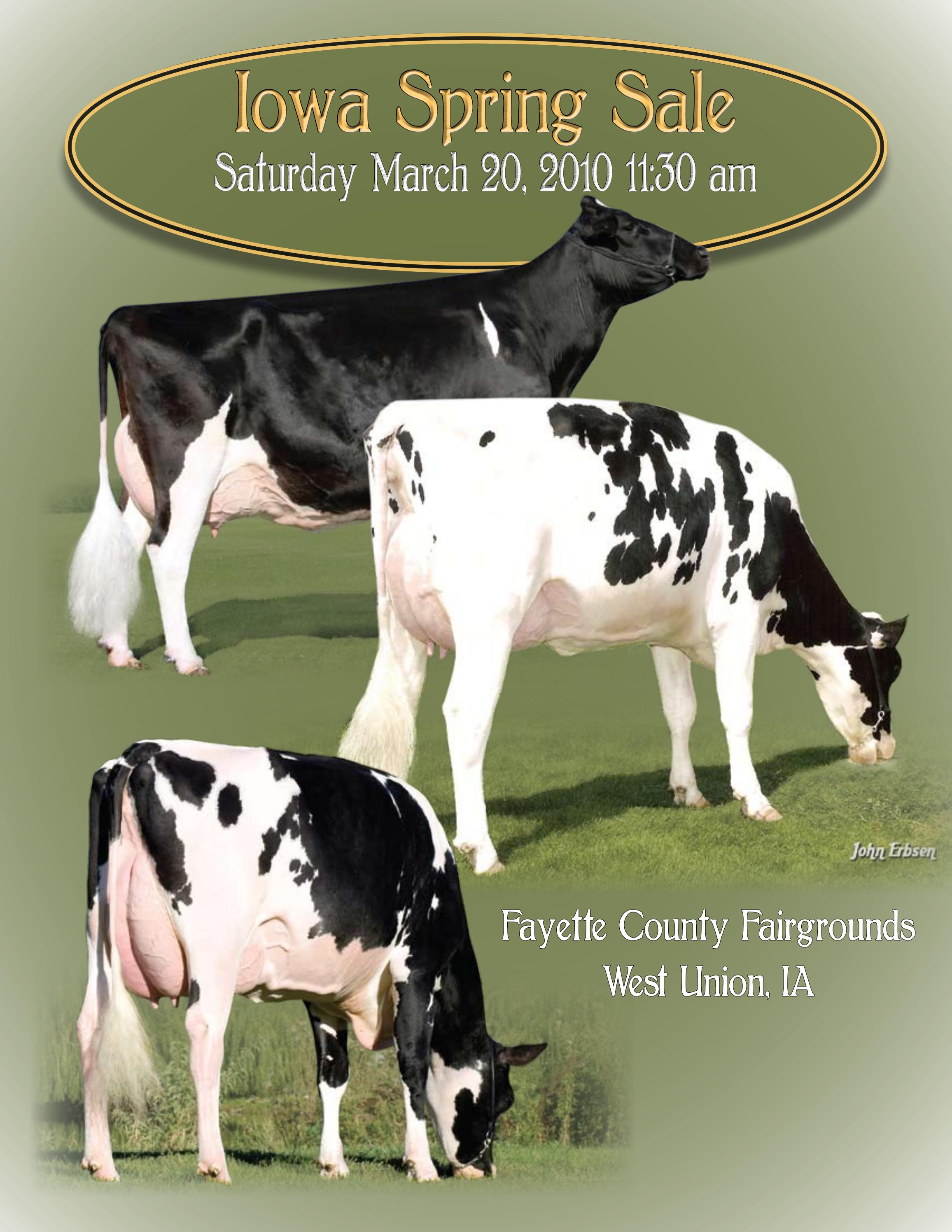 Iowa Spring Holstein Sale by Dairy Agenda Today issuu