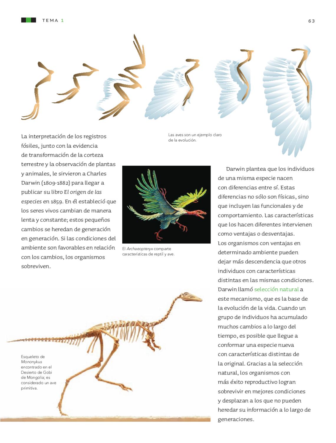 Ciencias Naturales 6to Grado By Sbasica Issuu | ciencias naturales 6to grado by sbasica issuu Ciencias Naturales 6to Grado By Sbasica Issuu | ciencias naturales 6to grado by sbasica issuu