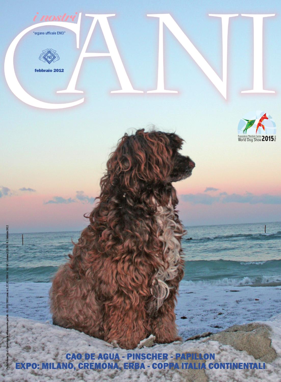 Inc febbraio 2012 by enci ente nazionale cinofilia italiana issuu Vetrina classica bianca fiona