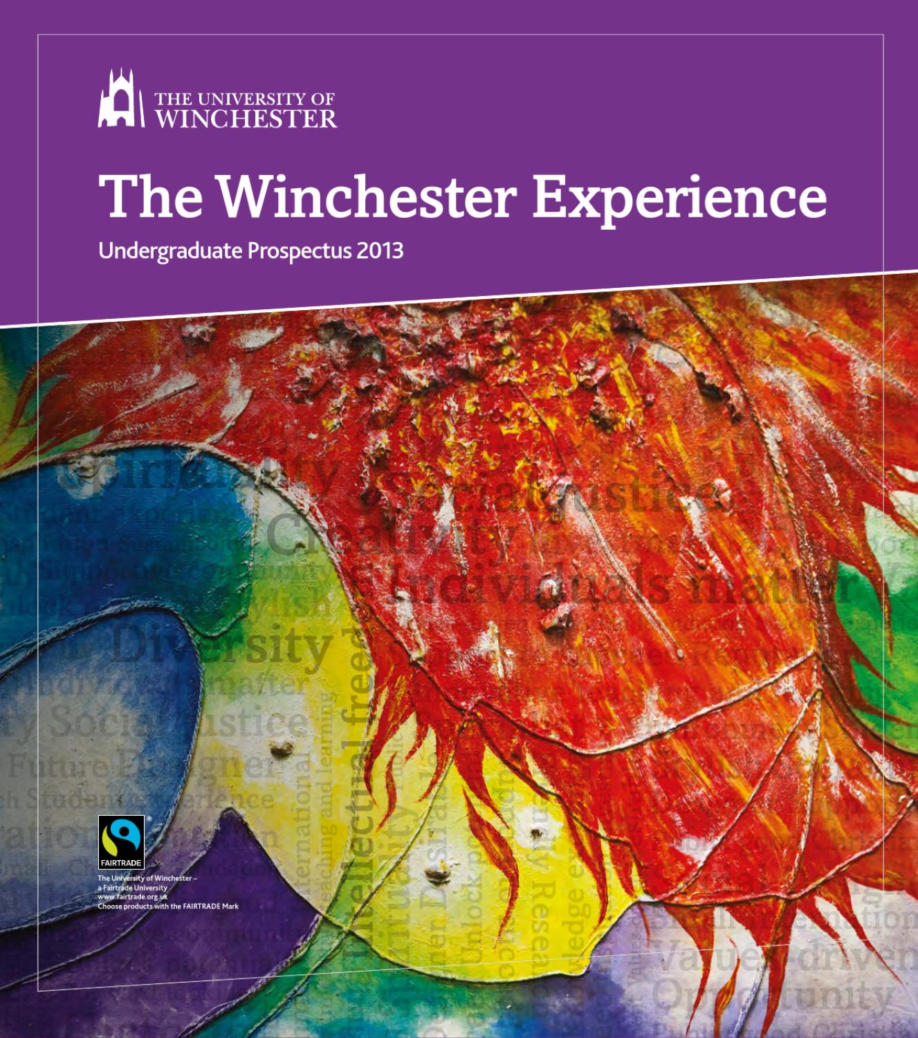 write essay prospectus write essay prospectus