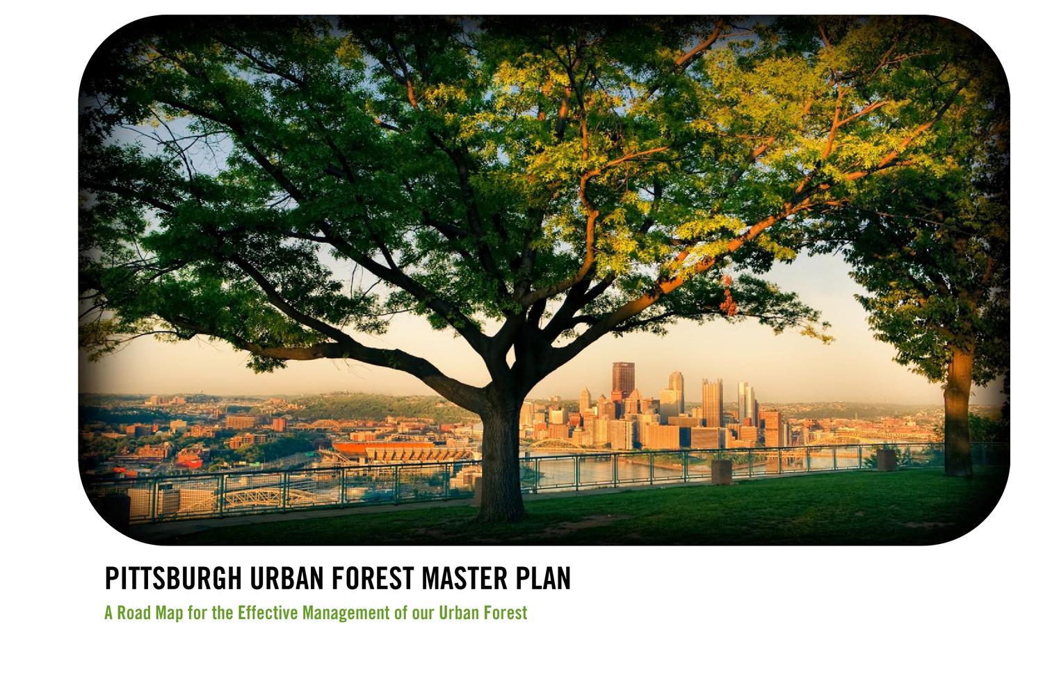 Pittsburgh Urban Forest Master Plan By Tree Pittsburgh Issuu Pittsburgh Urban Forest Master Plan By Tree Pittsburgh Issuu