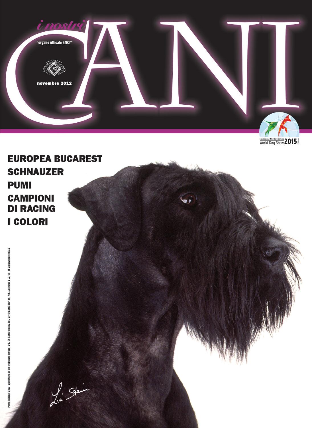 I nostri cani dicembre 2012 by enci ente nazionale cinofilia ... Recinto creativo Cane