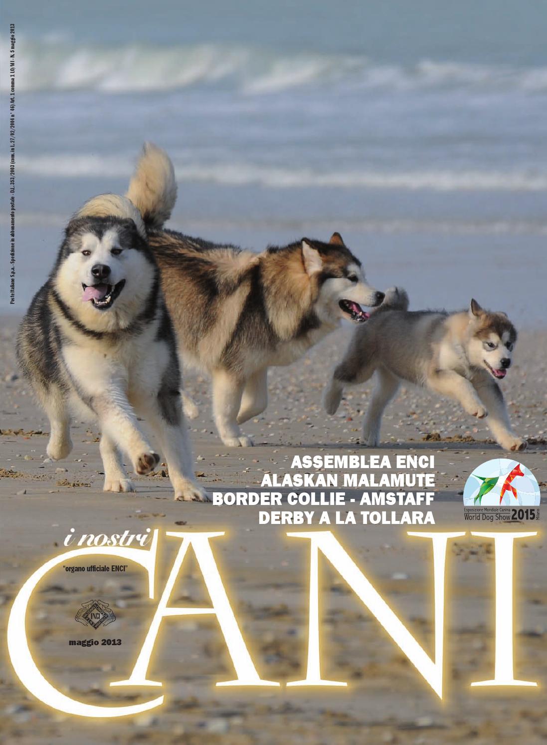 I nostri cani luglio/agosto 2014 by enci ente nazionale ... Recinto creativo Cane