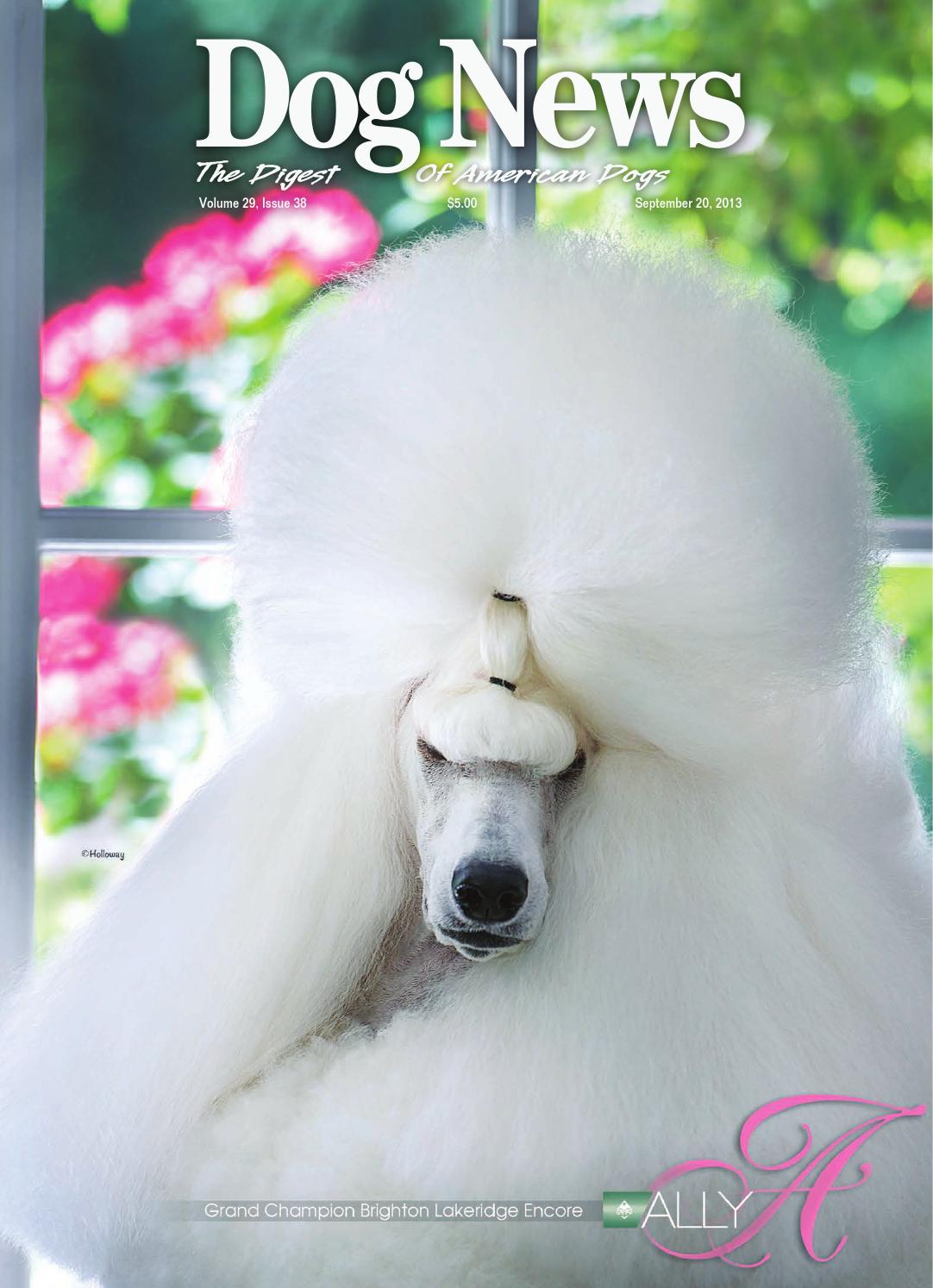 puppy news news september 20 2013 by dn news issuu puppy news news september 20 2013 by dn news issuu
