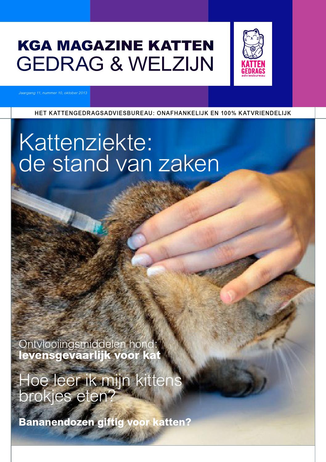Kga magazine katten, gedrag & welzijn by kattengedragsadviesbureau ...