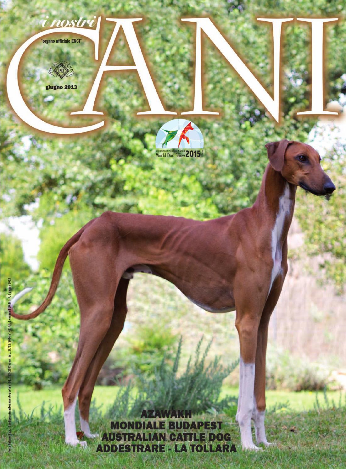 I nostri cani dicembre 2012 by enci ente nazionale cinofilia ... Recinto creativo Cane