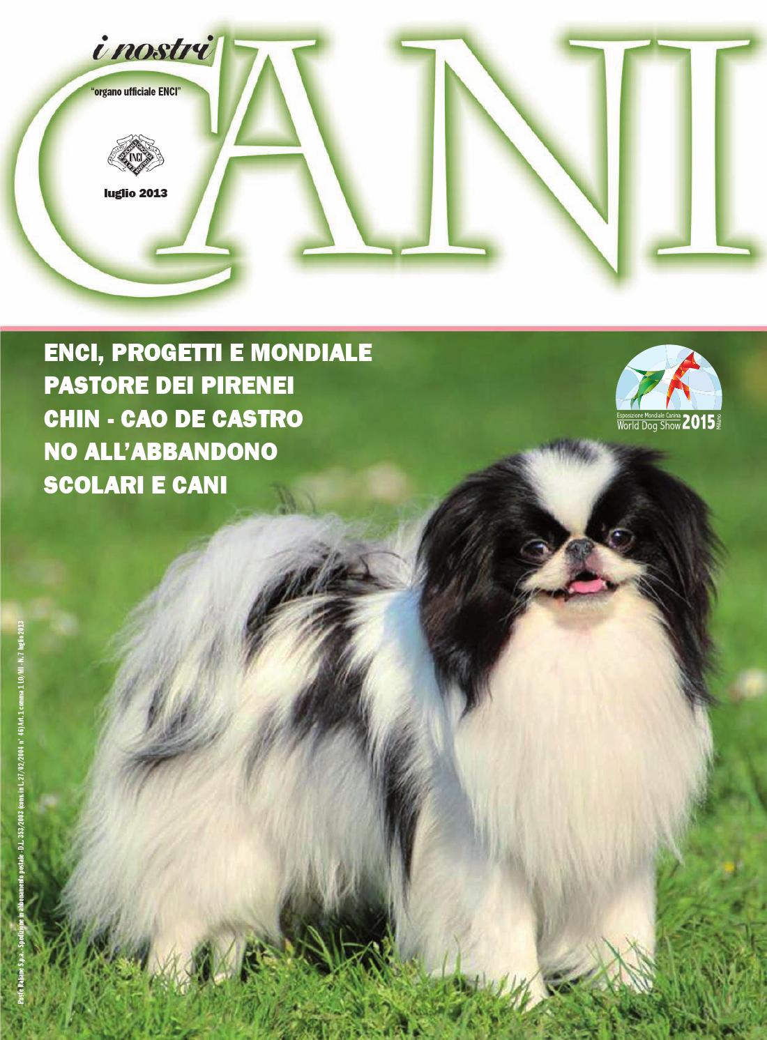 I nostri cani luglio/agosto 2014 by enci ente nazionale ... Recinto creativo Cane