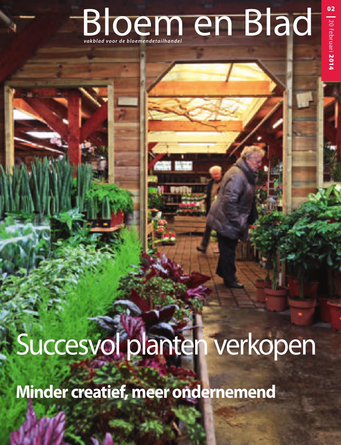 Beb 01 2015 by stichting vakinformatie siergewassen issuu