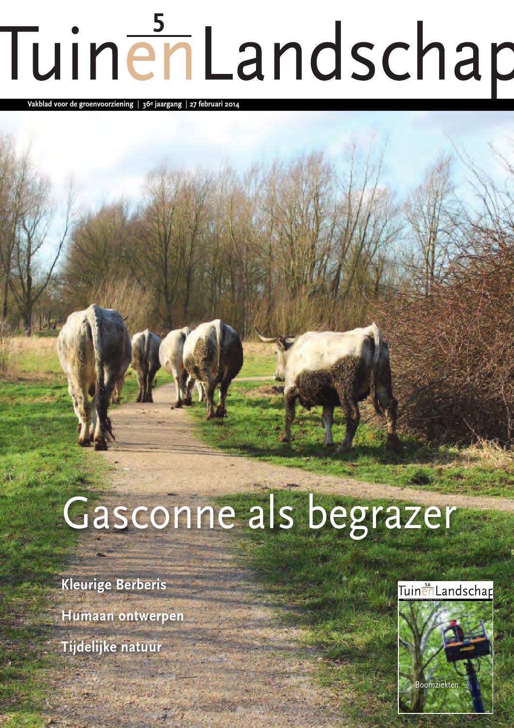 Tel 08 2014 by stichting vakinformatie siergewassen issuu