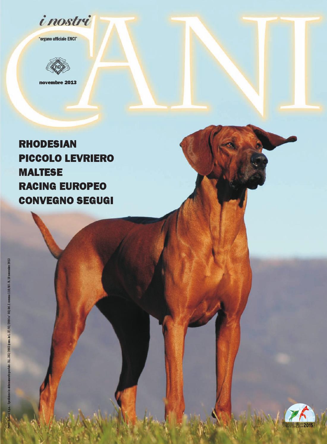 I nostri cani" aprile 2013 by enci ente nazionale cinofilia ... Recinto creativo Cane