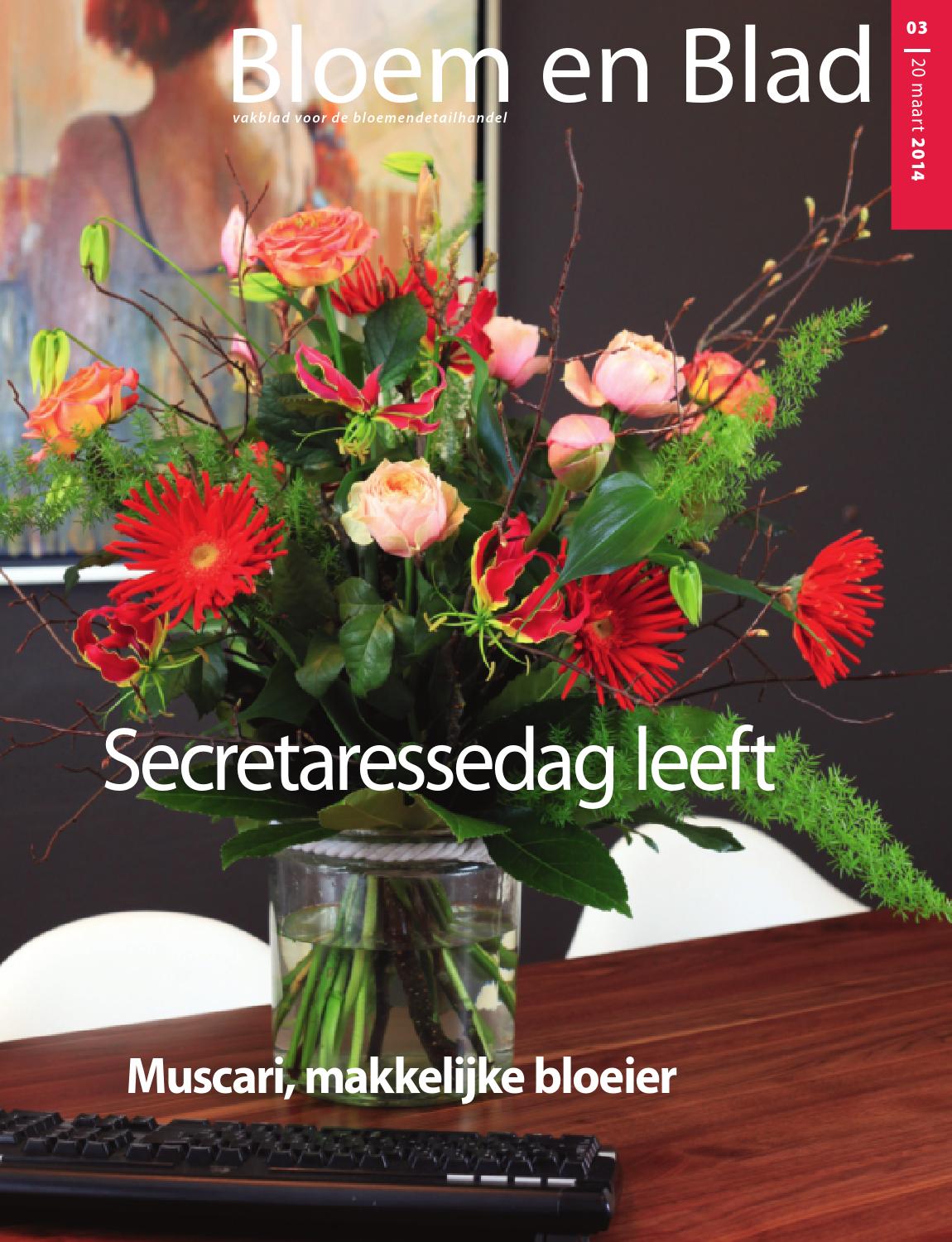 Beb 02 2015 by stichting vakinformatie siergewassen issuu