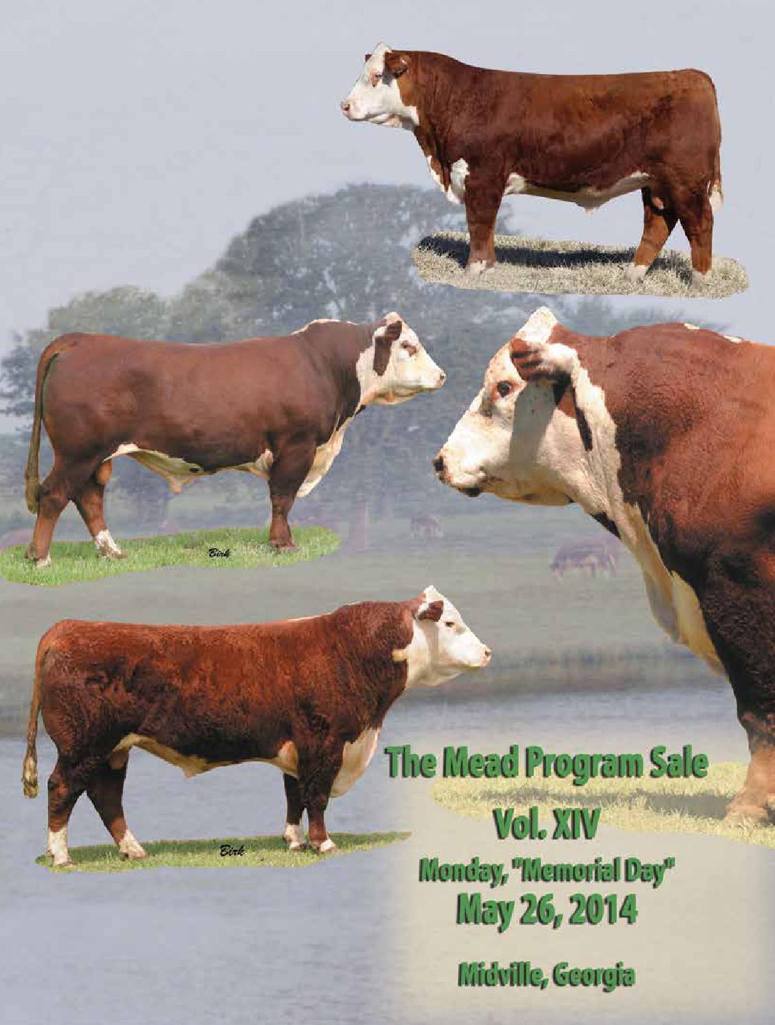 The Mead Program Sale XIV by Cattle In Motion, LLC issuu