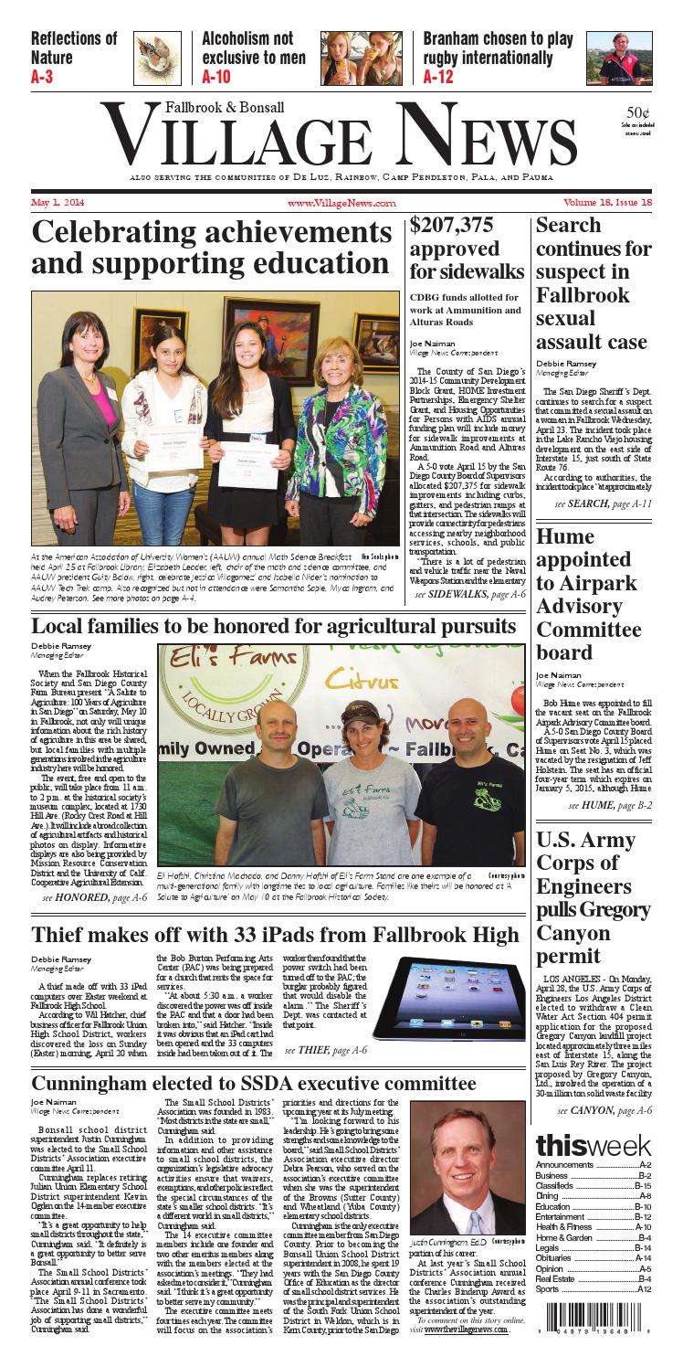 Cdbg case essay picture