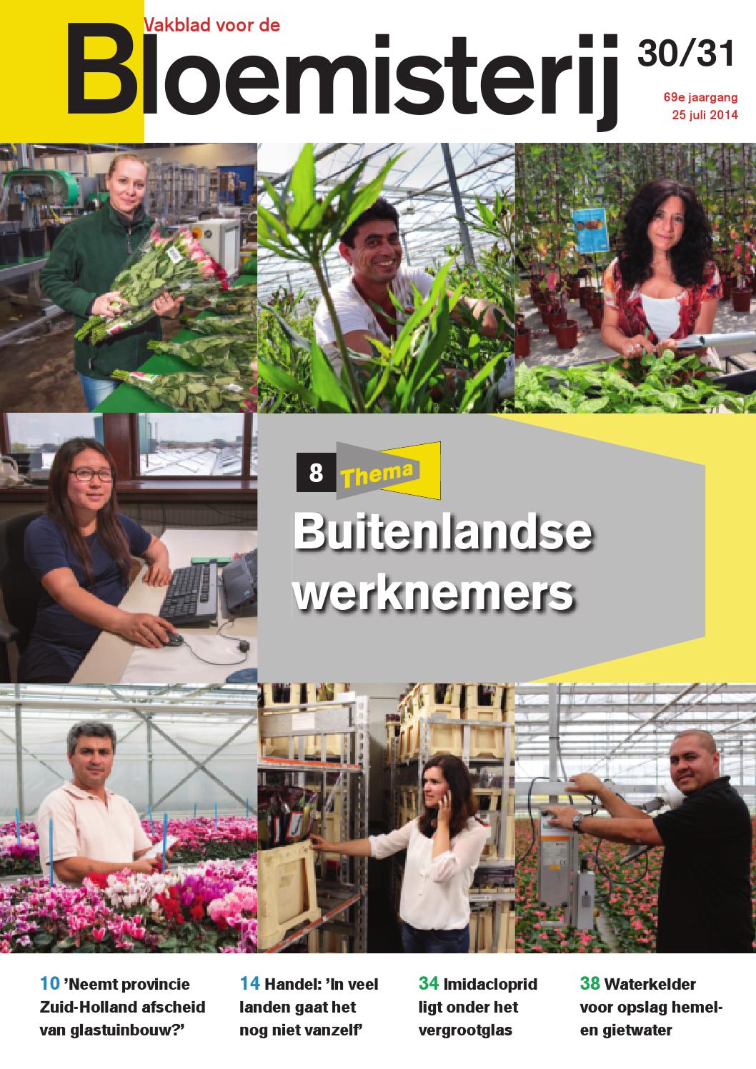 Boomkwekerij 14 2014 by stichting vakinformatie siergewassen issuu
