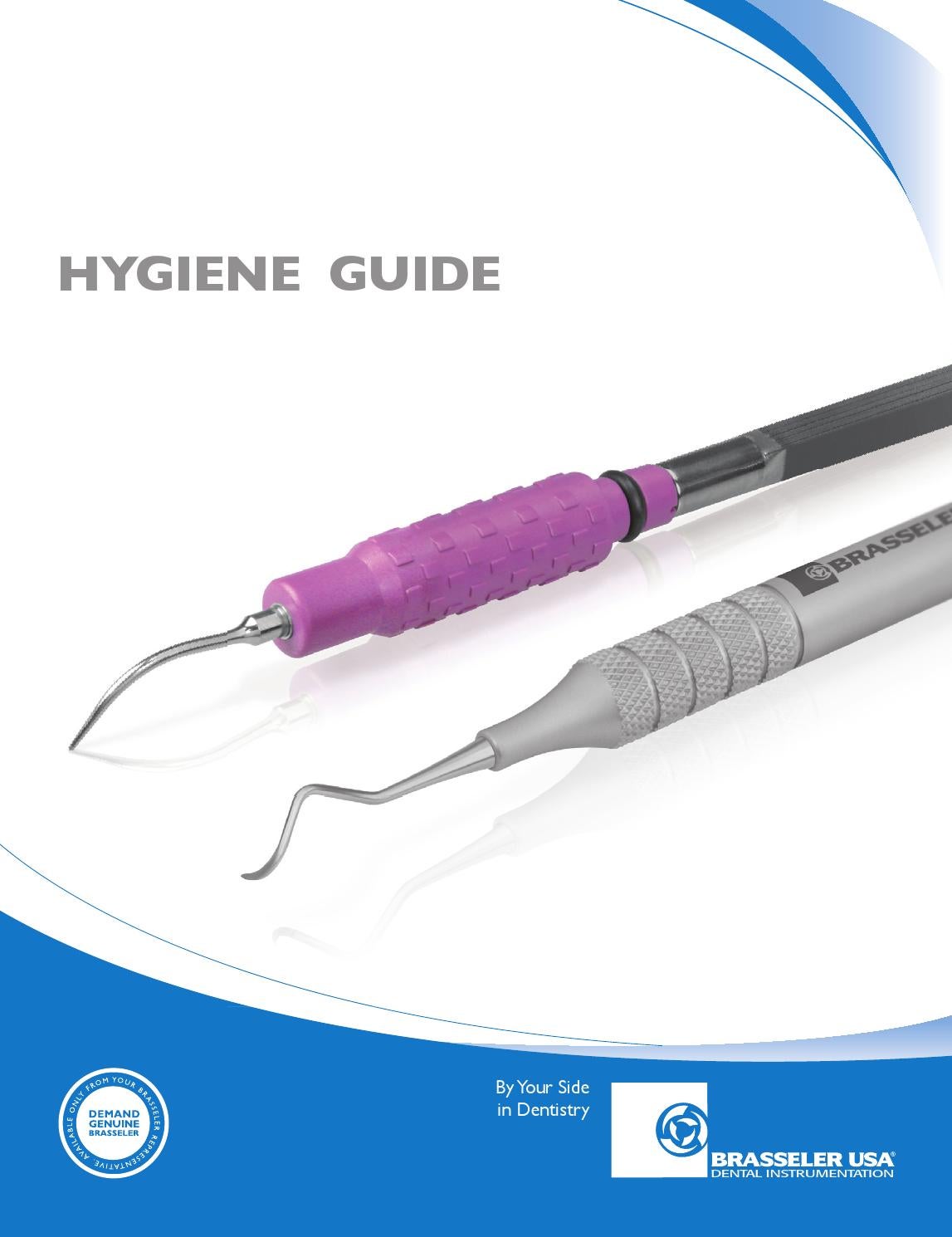 Dental Hygienist qualities of a good technical report writer Dental Hygienist qualities of a good technical report writer
