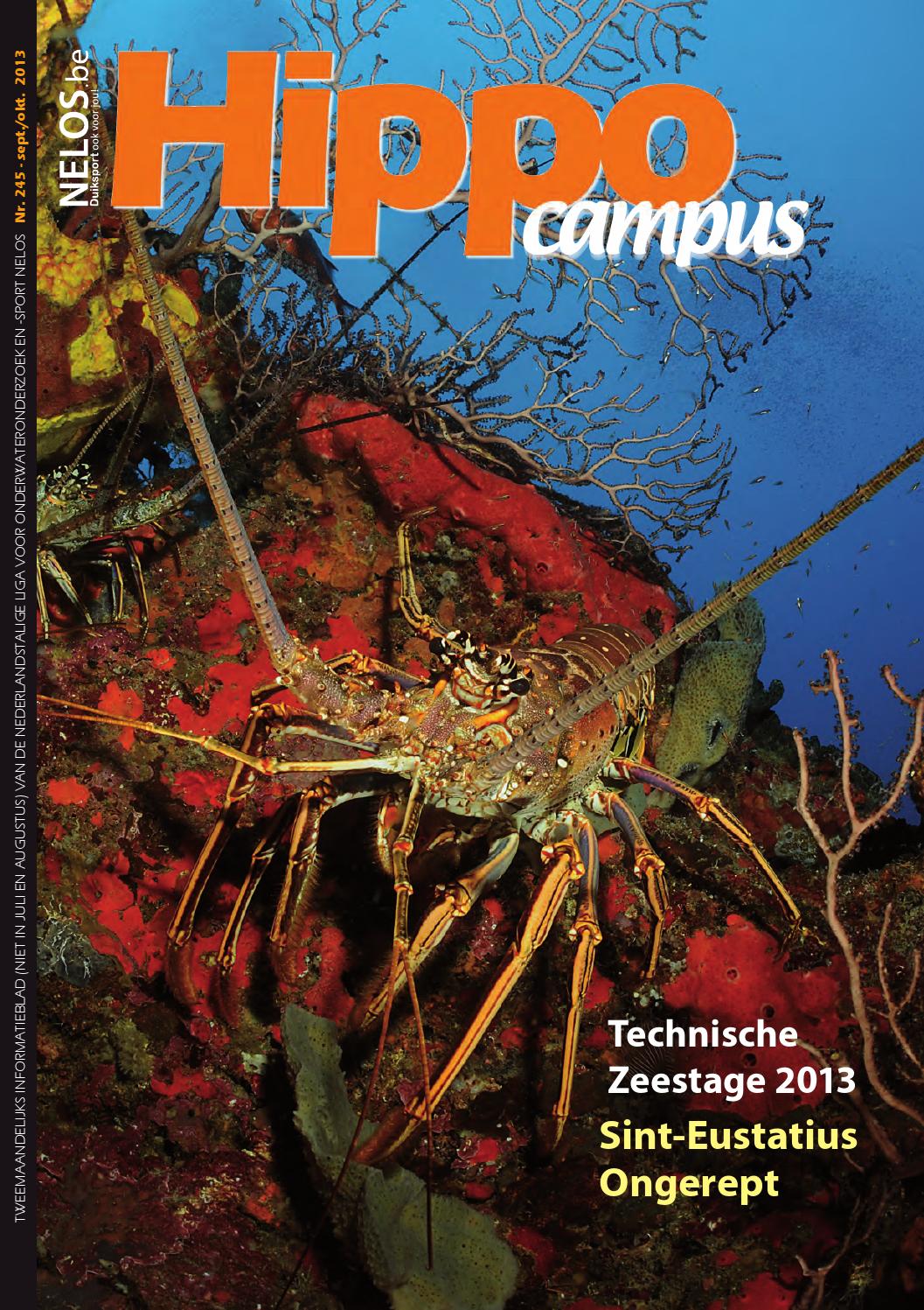 Hippocampus 243 (maart april 2013) by ivo madder issuu