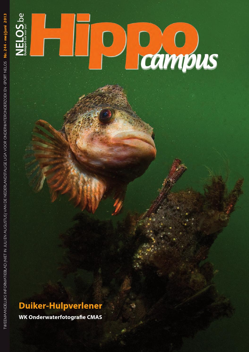 Hippocampus 243 (maart april 2013) by ivo madder issuu