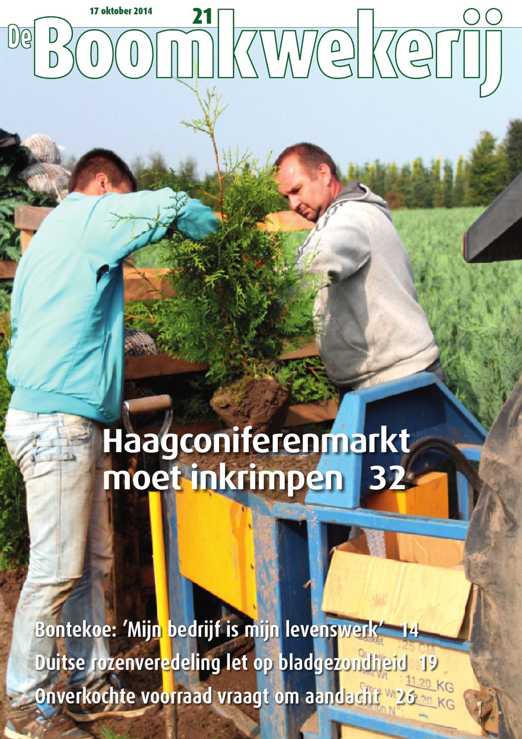 Bkw 21 2015 by stichting vakinformatie siergewassen issuu