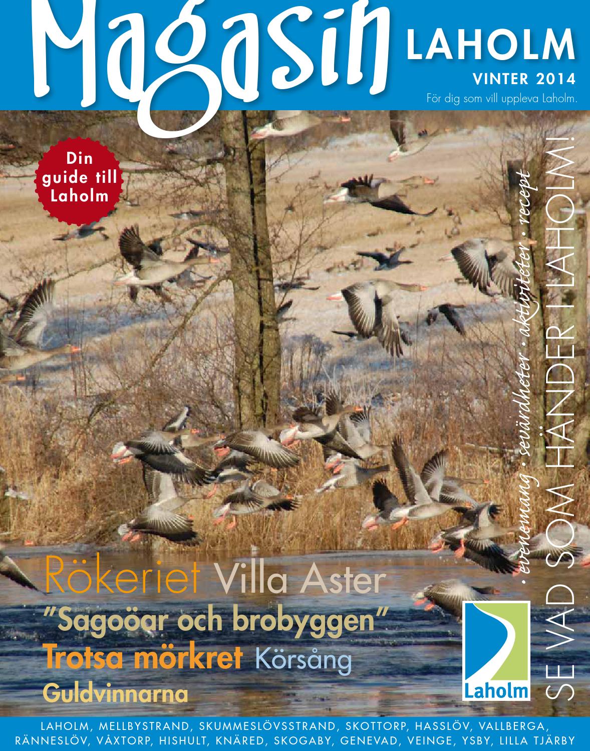 Siljan just nu 1 2016 by siljan turism issuu