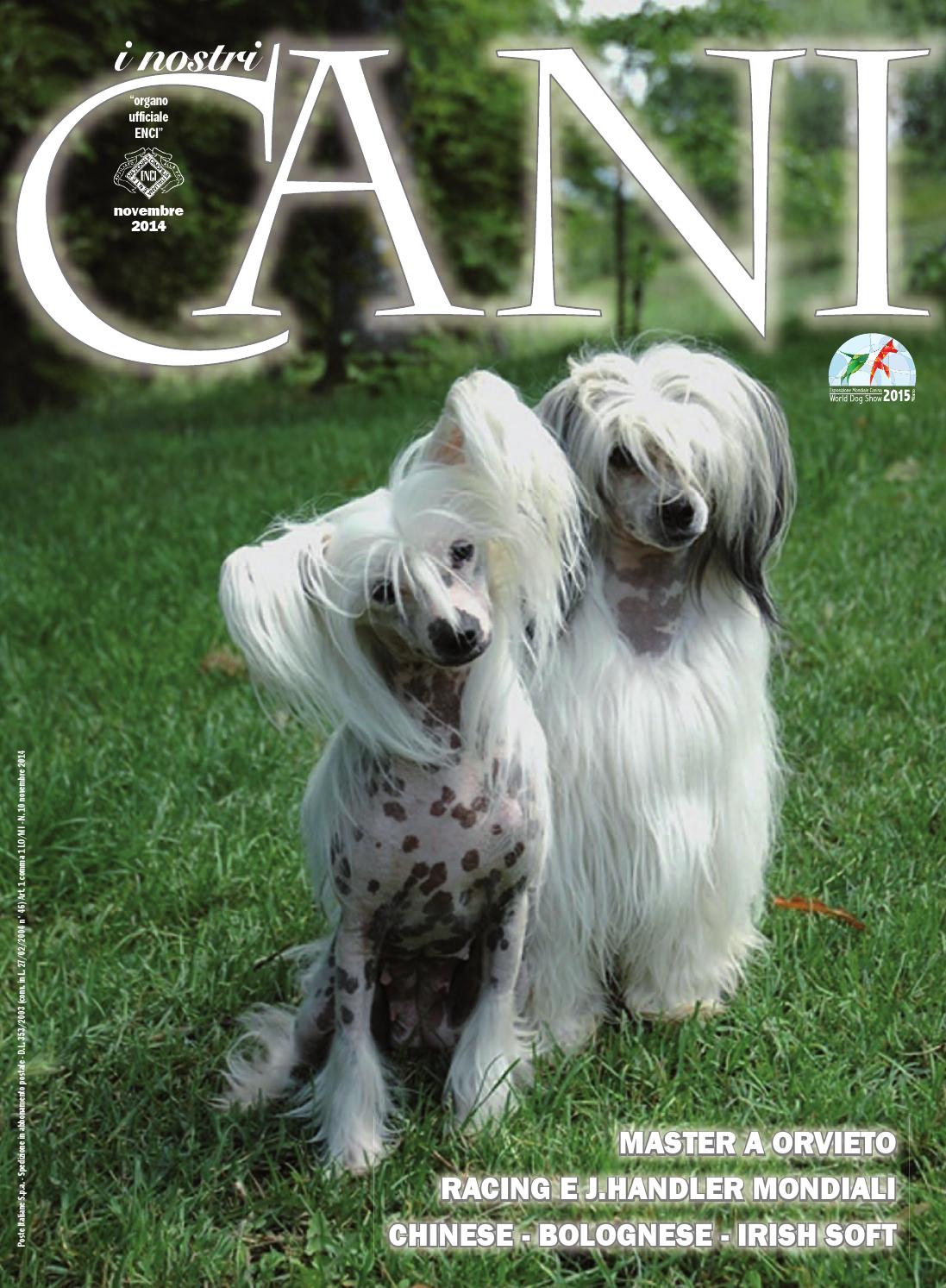 I nostri cani luglio/agosto 2014 by enci ente nazionale ... Recinto creativo Cane
