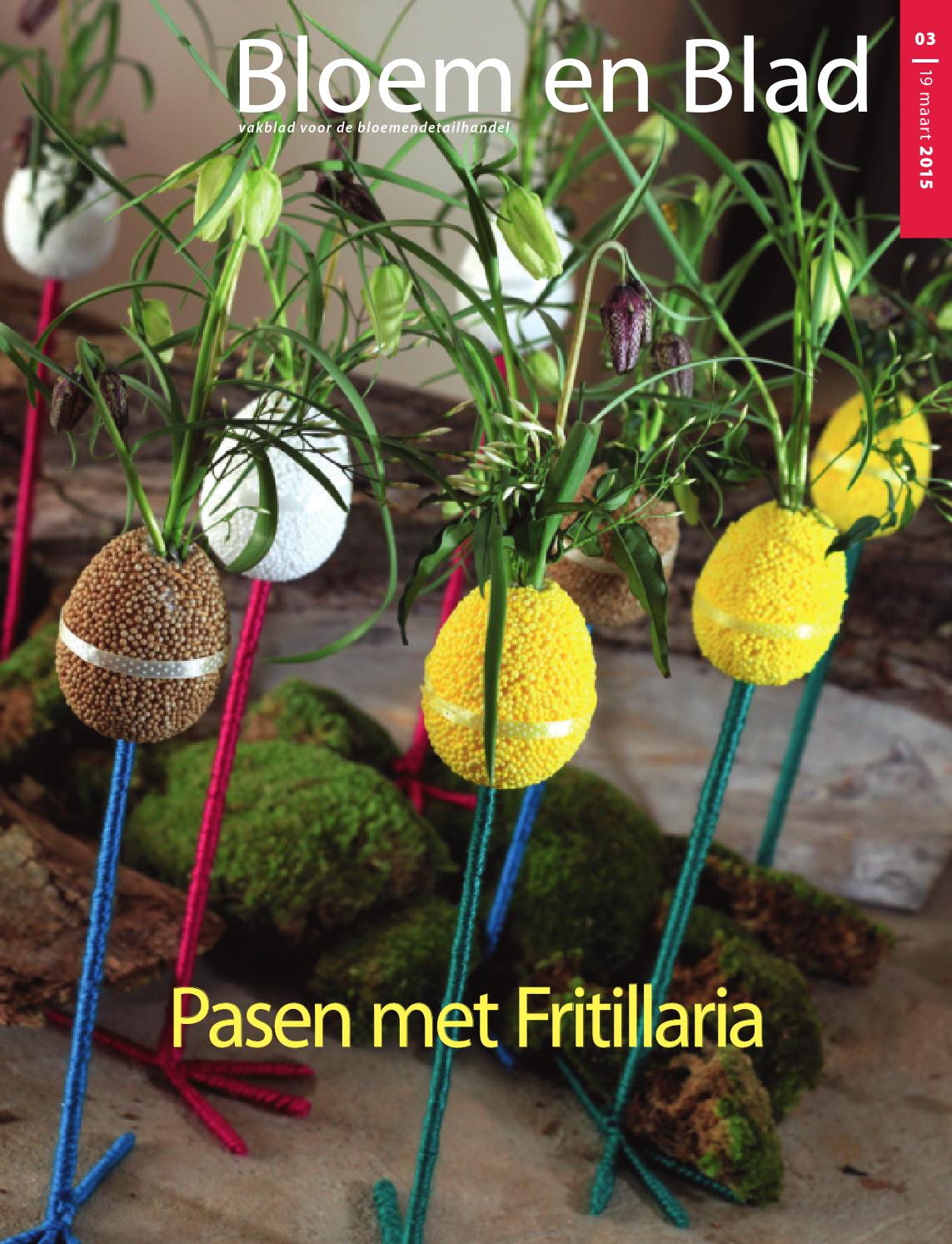 Beb32015 by stichting vakinformatie siergewassen issuu