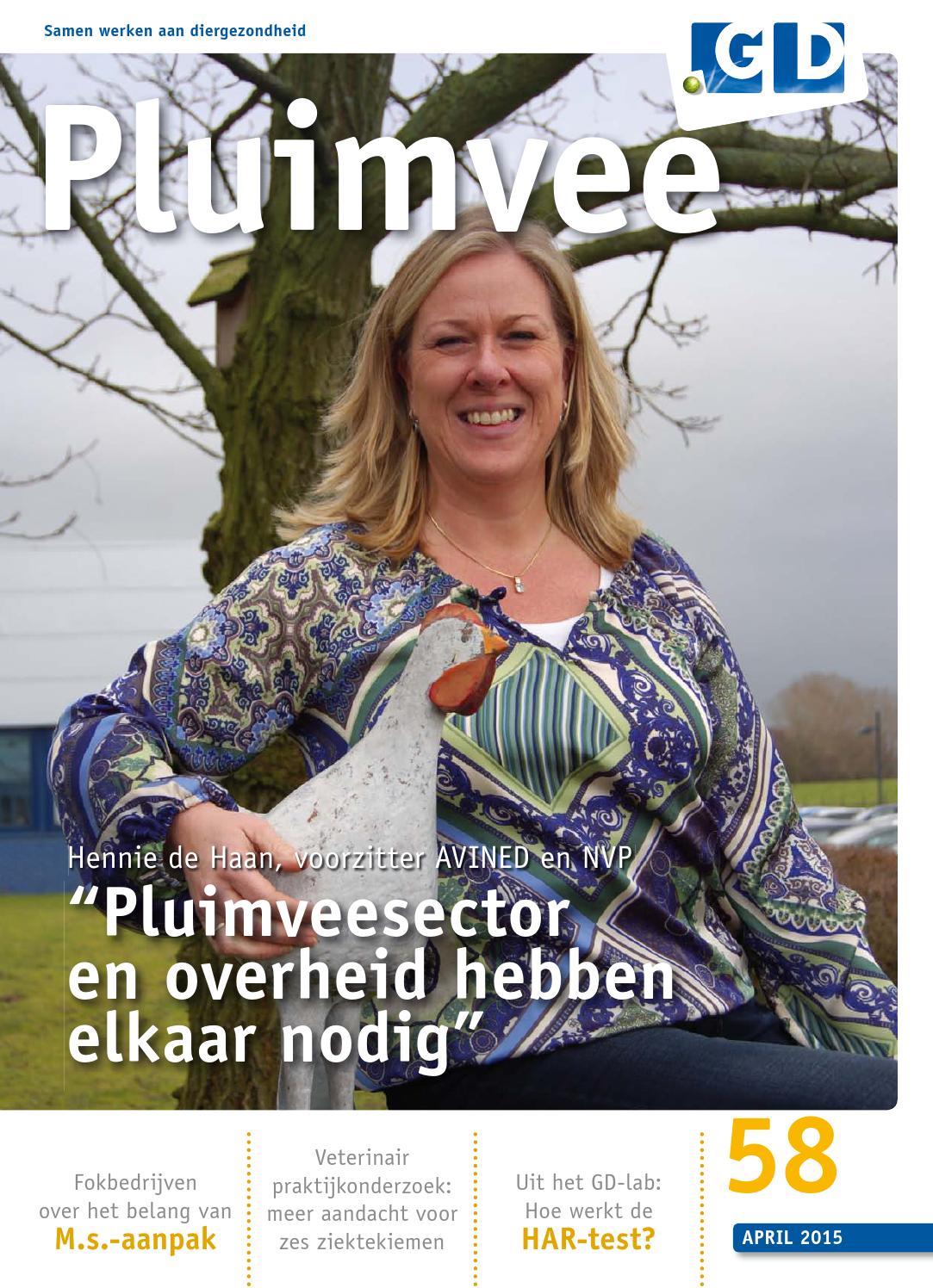 Gd pluimvee 54 by gezondheidsdienst voor dieren issuu