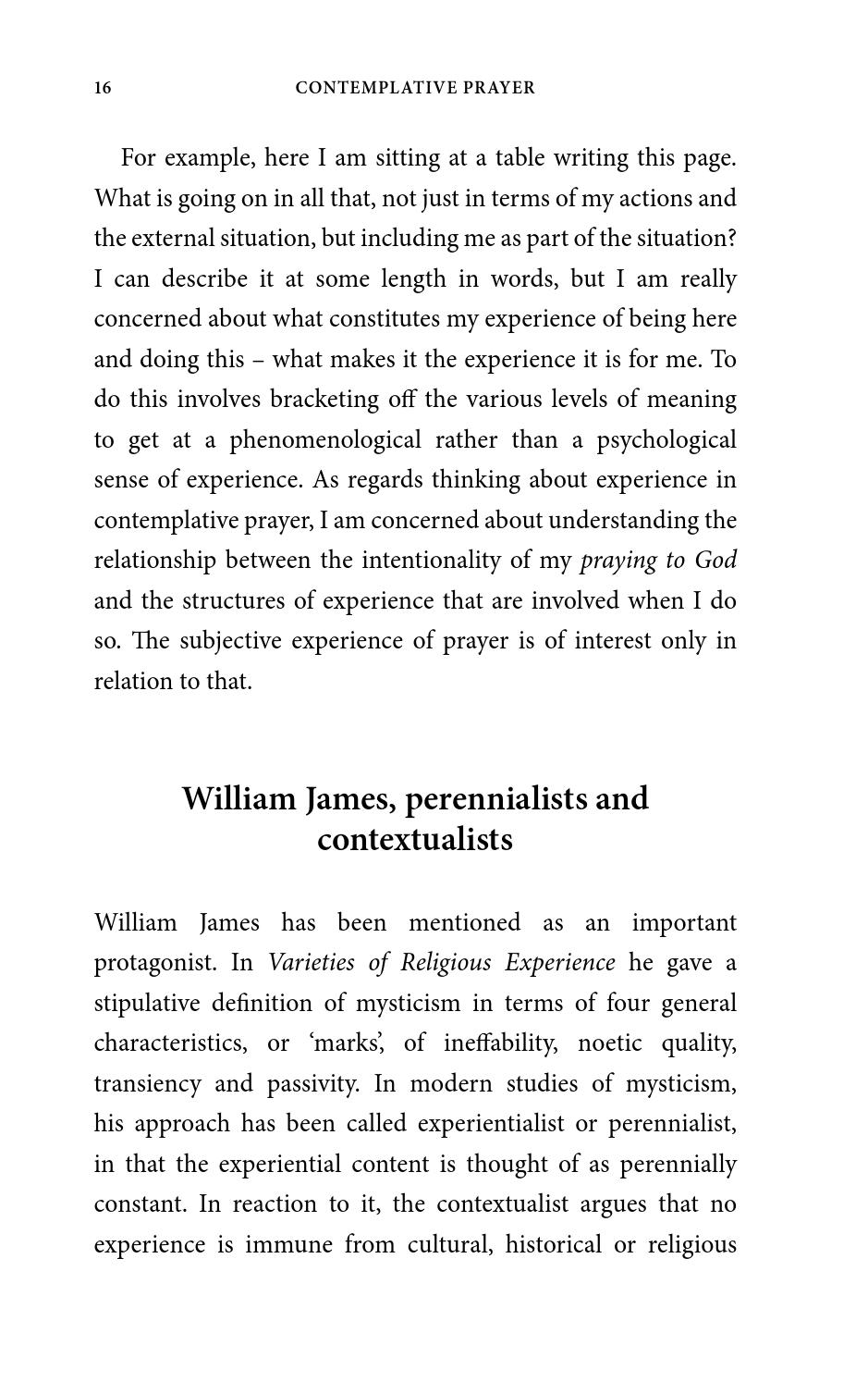 Contemplative essay examples image