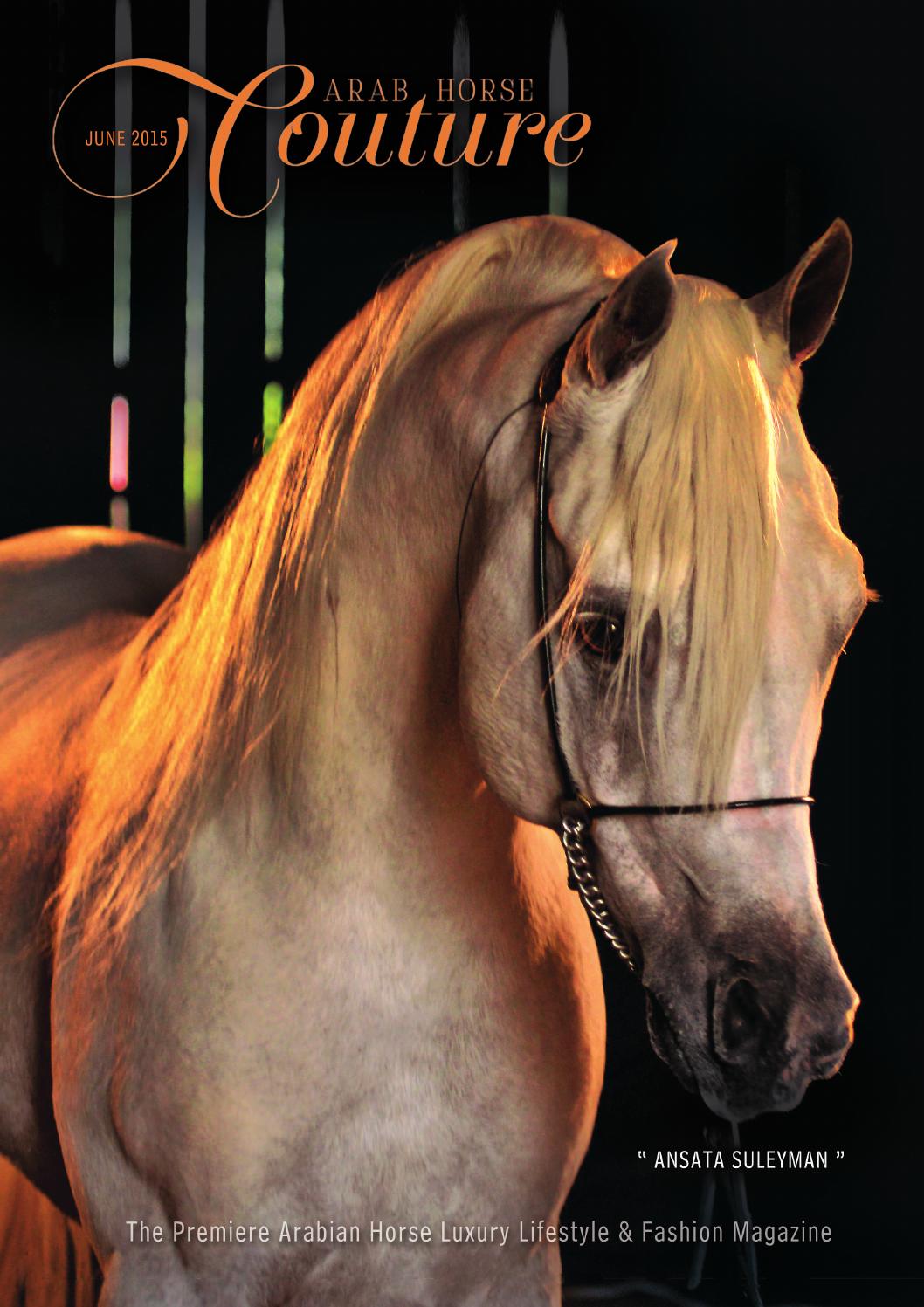 the unnapreciative horse essay the unnapreciative horse essay