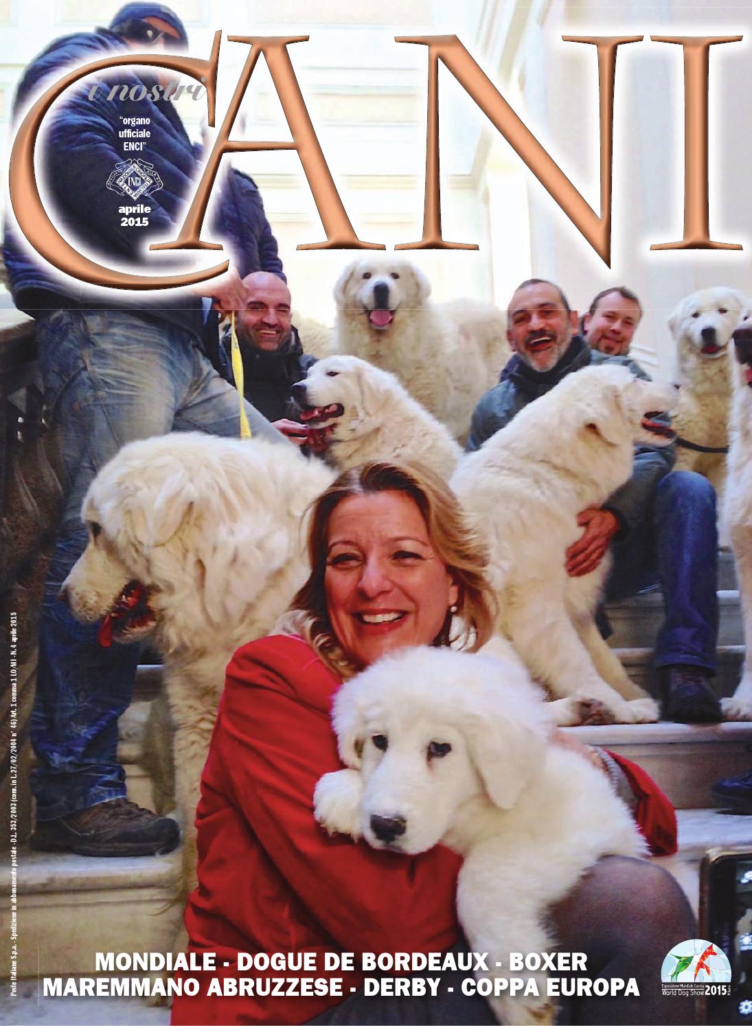 I nostri cani aprile 2015 by enci ente nazionale cinofilia ... Recinto creativo Cane