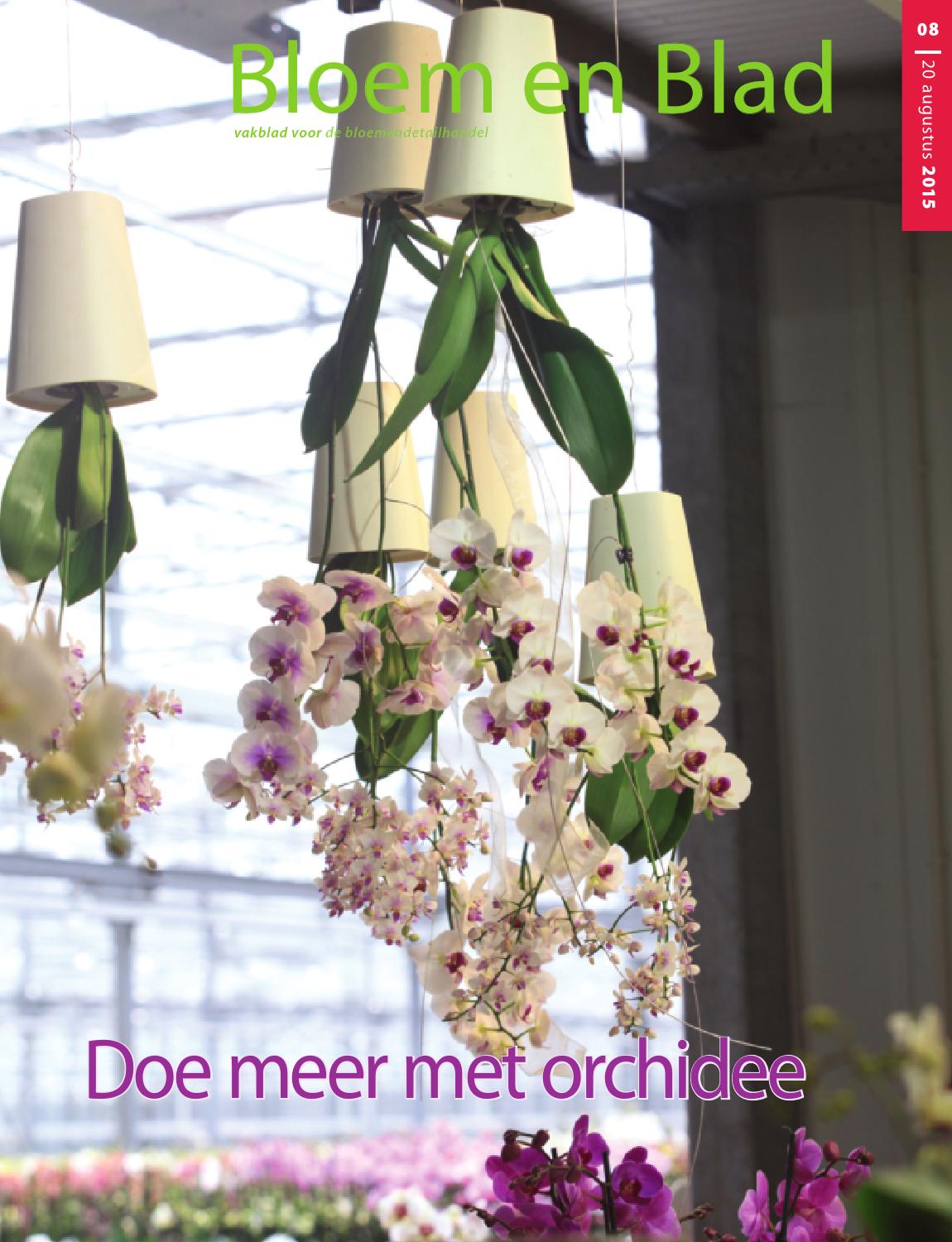 Beb 8 2015 by stichting vakinformatie siergewassen issuu