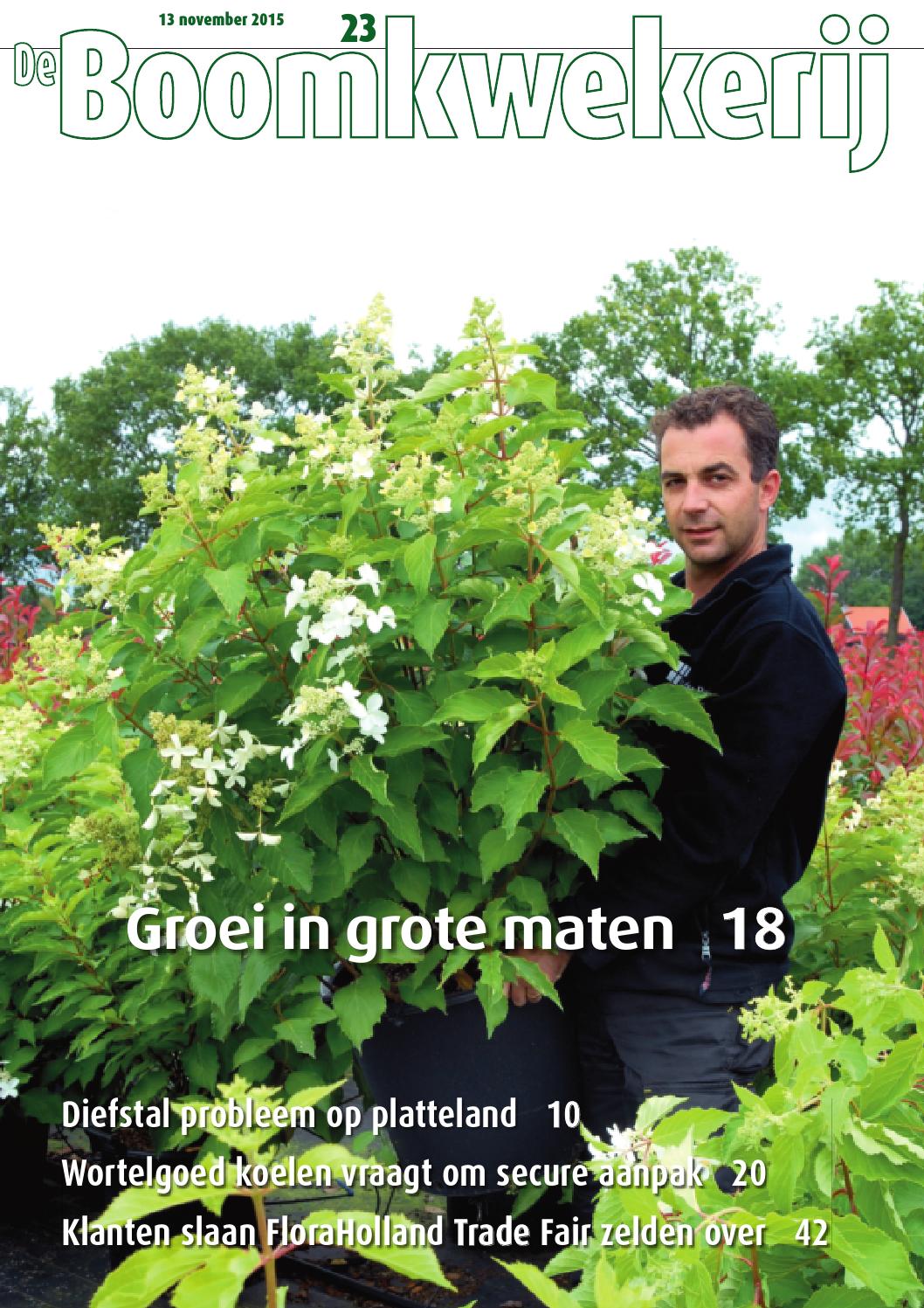Boom in business7 2014 by nwst newstories issuu Grot bouwen de kwekerij