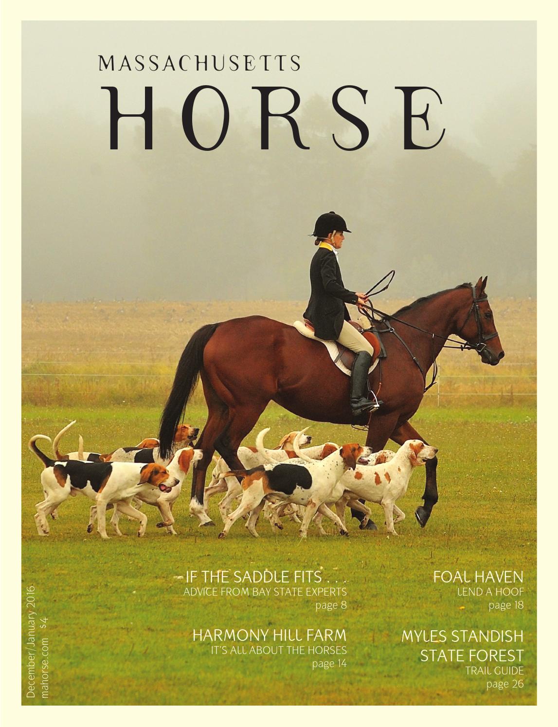 Massachusetts Horse December/January 2016 by Connecticut Horse
