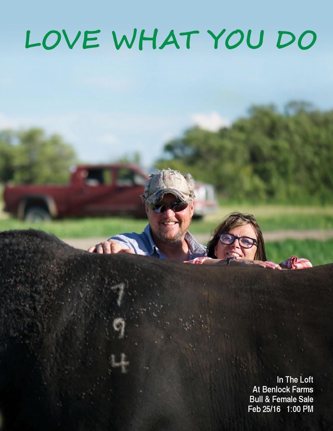 Scott+Laird+Rolston Benlock Bull & Female Sale Catalogue by Today's Publishing Inc ...