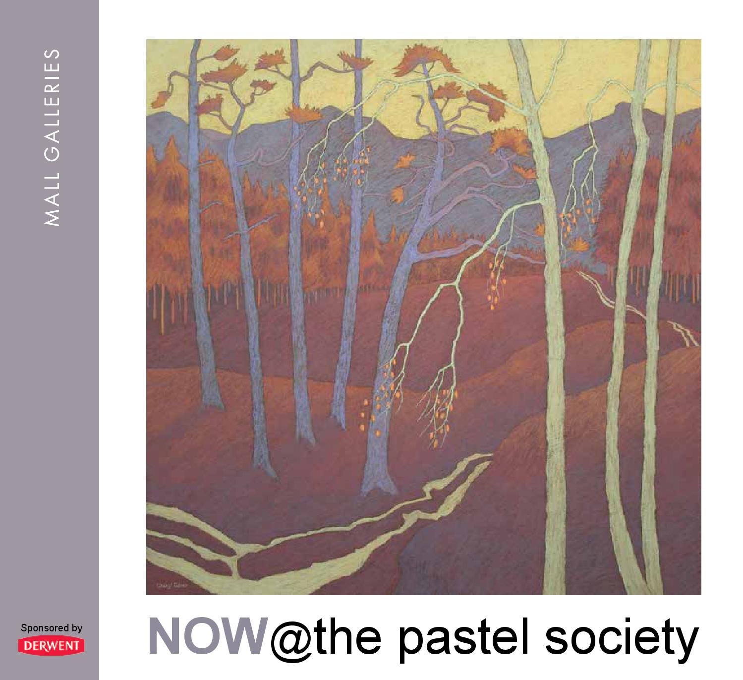 The Pastel Society 2016 by Mall Galleries issuu