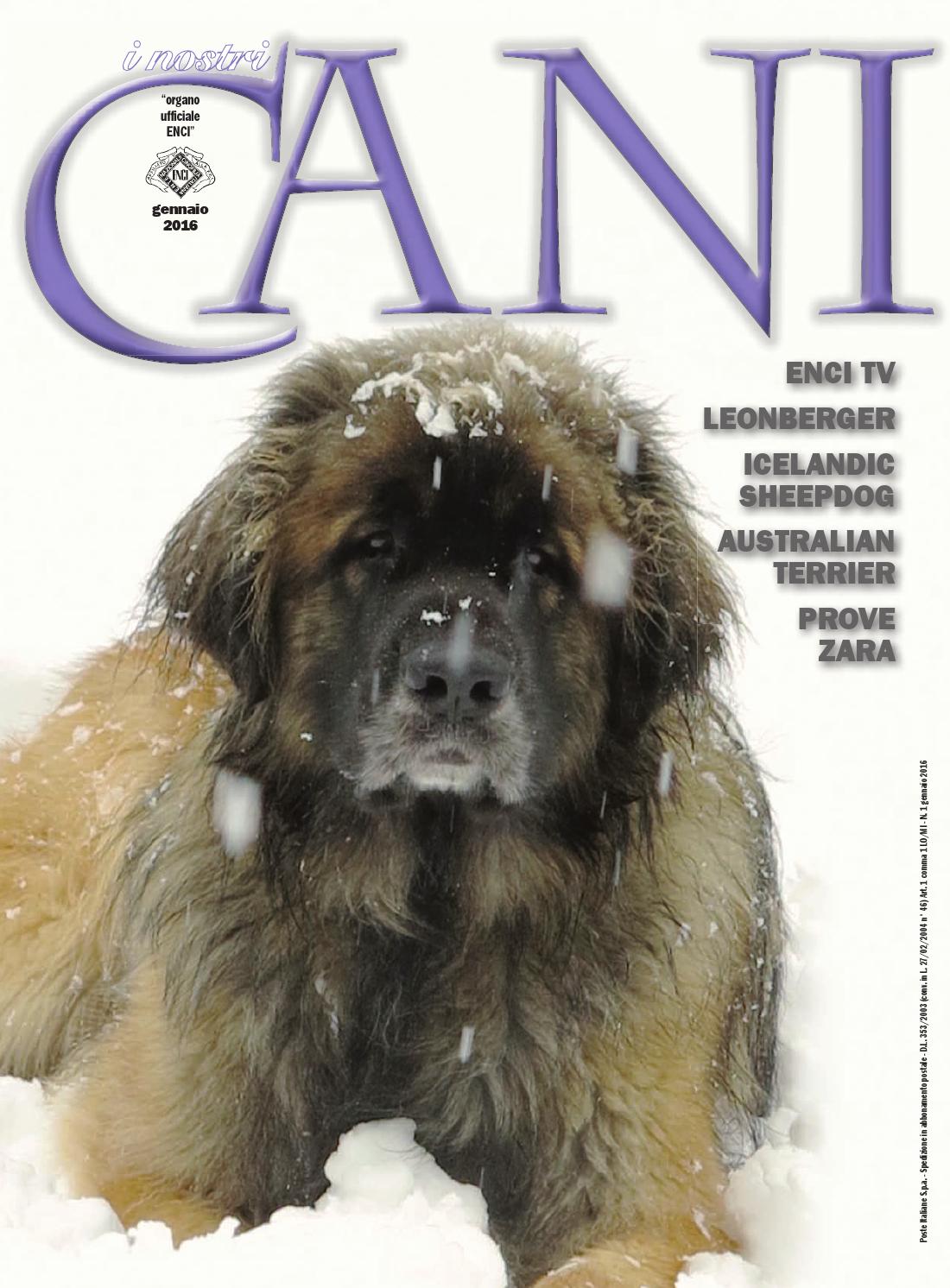 I nostri cani gennaio 2016 by enci ente nazionale cinofilia ...