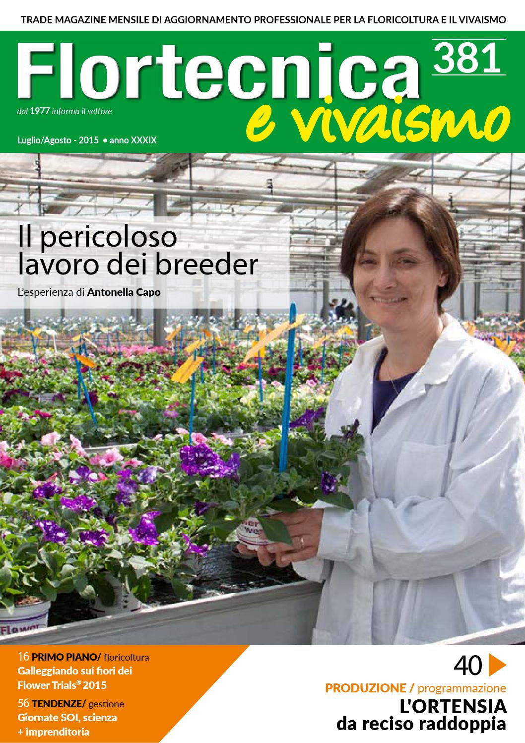 Parrucchieri A Furnari Saloneparrucchiere It Parrucchieri A Furnari Saloneparrucchiere It