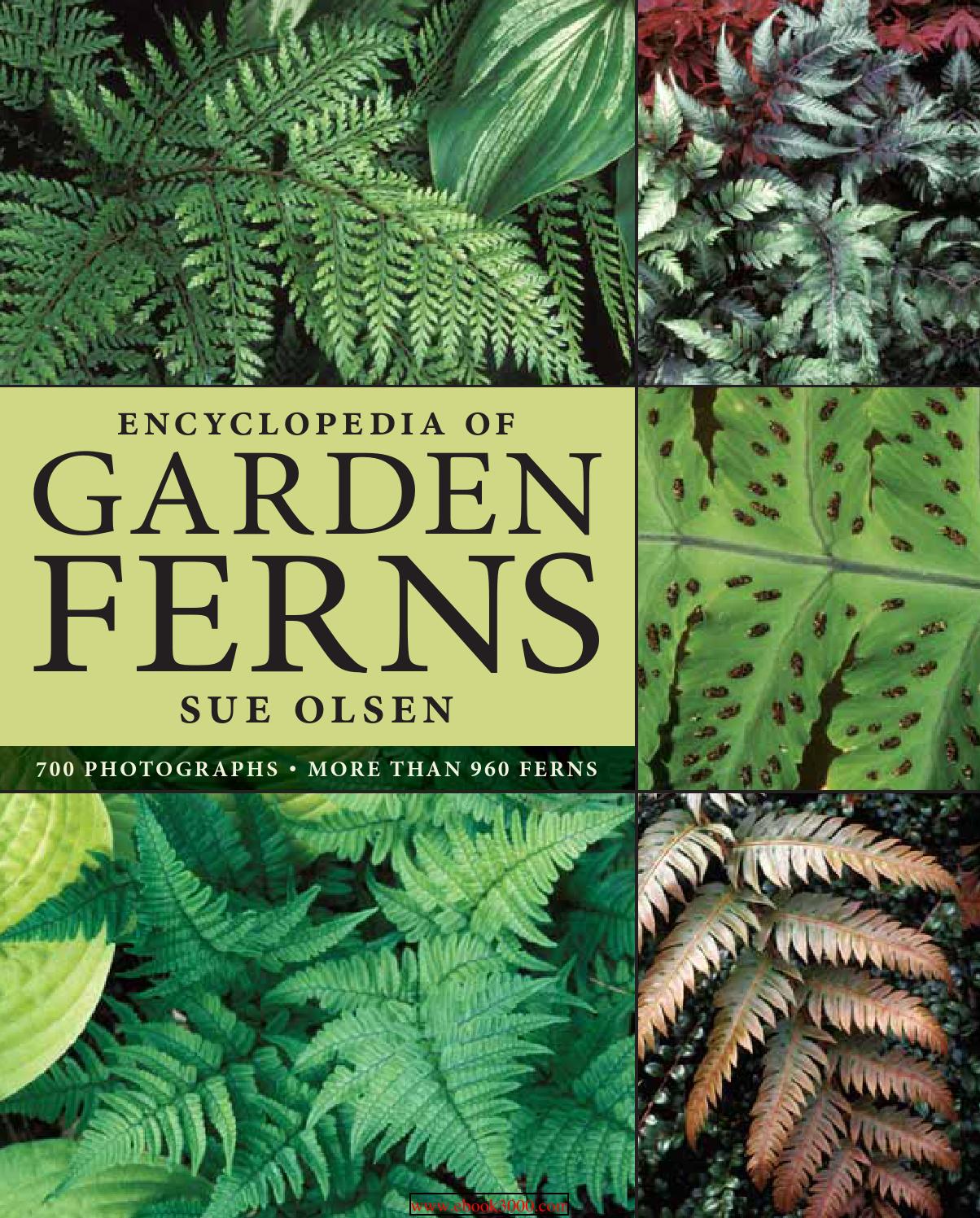 Exotic garden frökatalog 2015 by kustmedia issuu