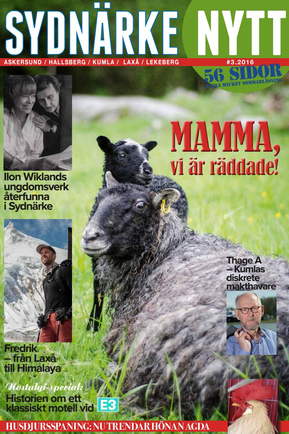 Sydnärkenytt sommarblad 2016 by kanal regional issuu