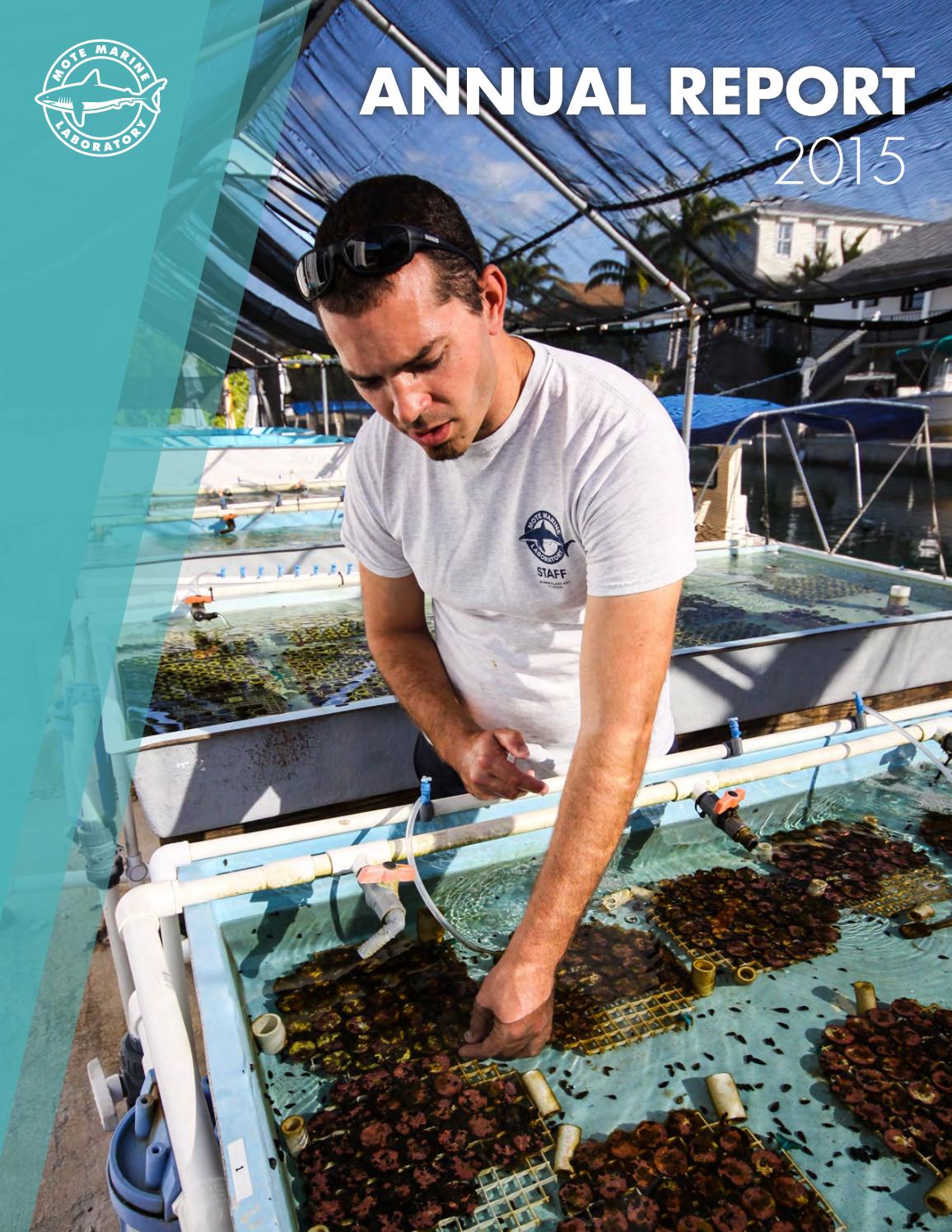 Genie wiley now 2021 picture