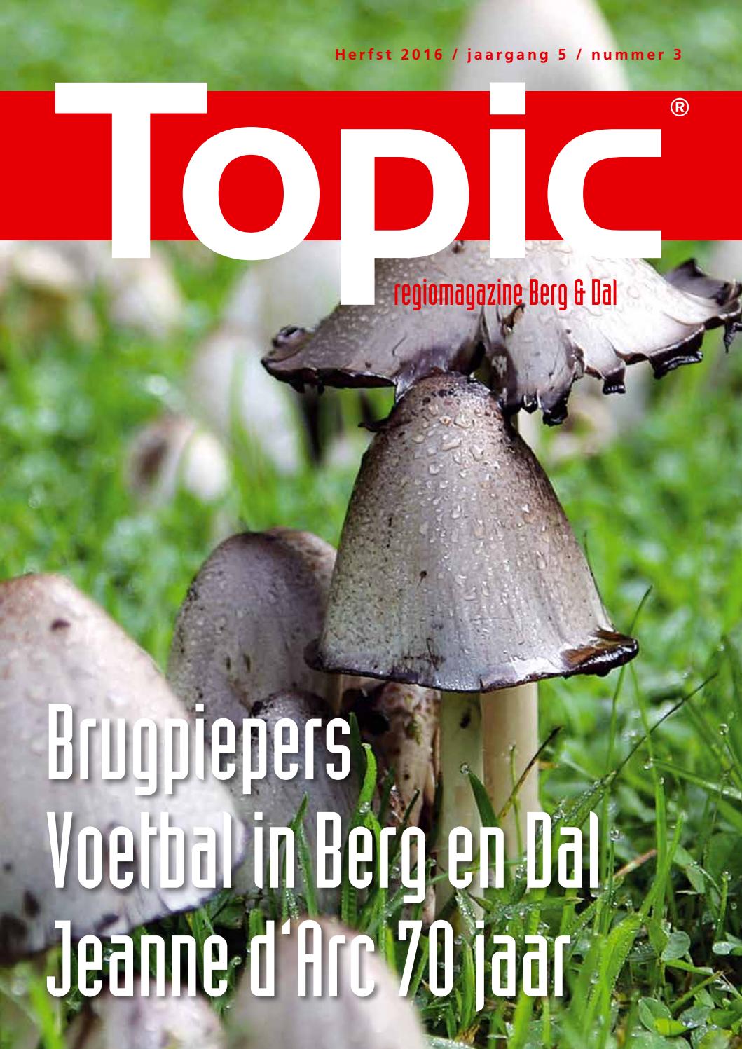 Topic berg en dal zomer 2016 by remi van bergen issuu
