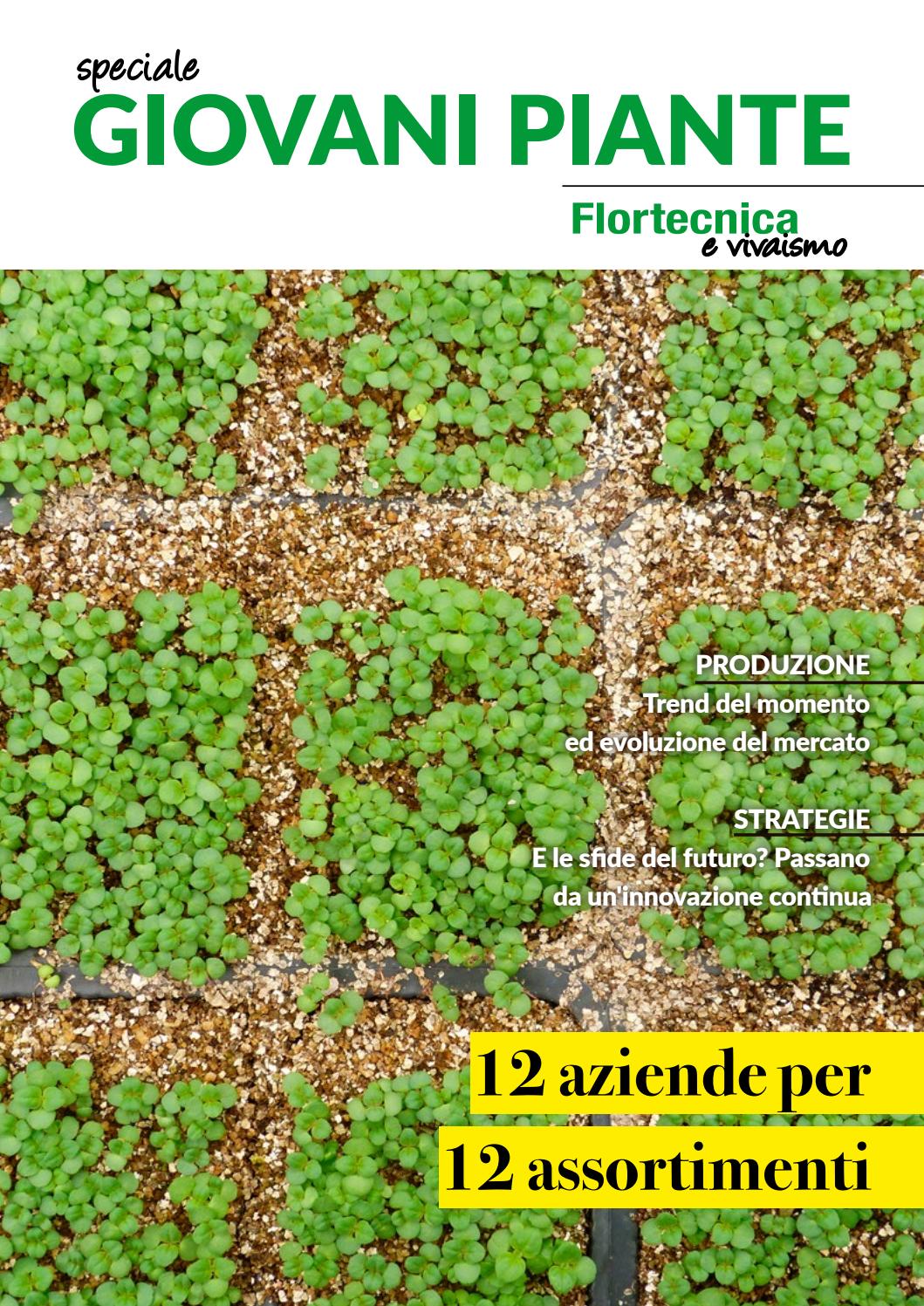 Il fiorista on line 3/4 del 2014 by federfiori federazione ... Composizioni fiori artificiali scala