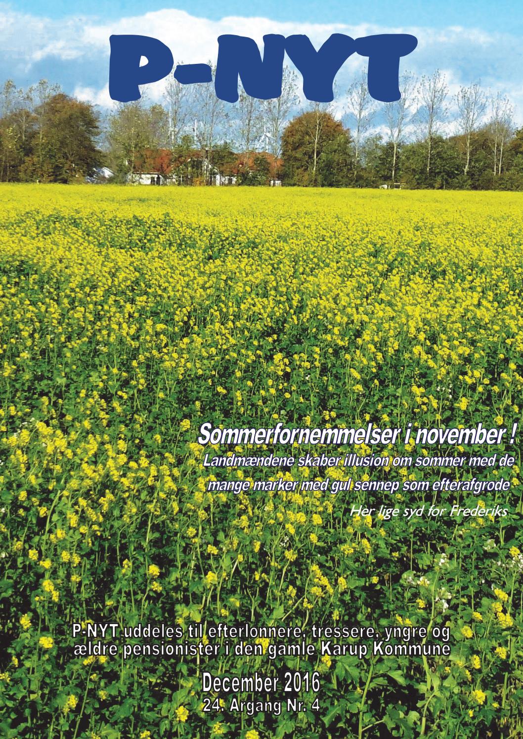 P nyt 2 2016 by arne christensen issuu Diy skrivebord