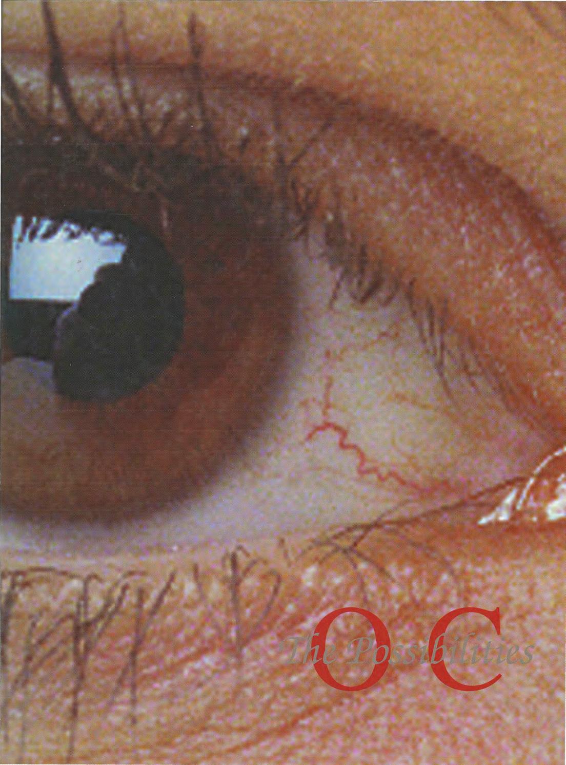 Sibyl 1996 by otterbein university issuu