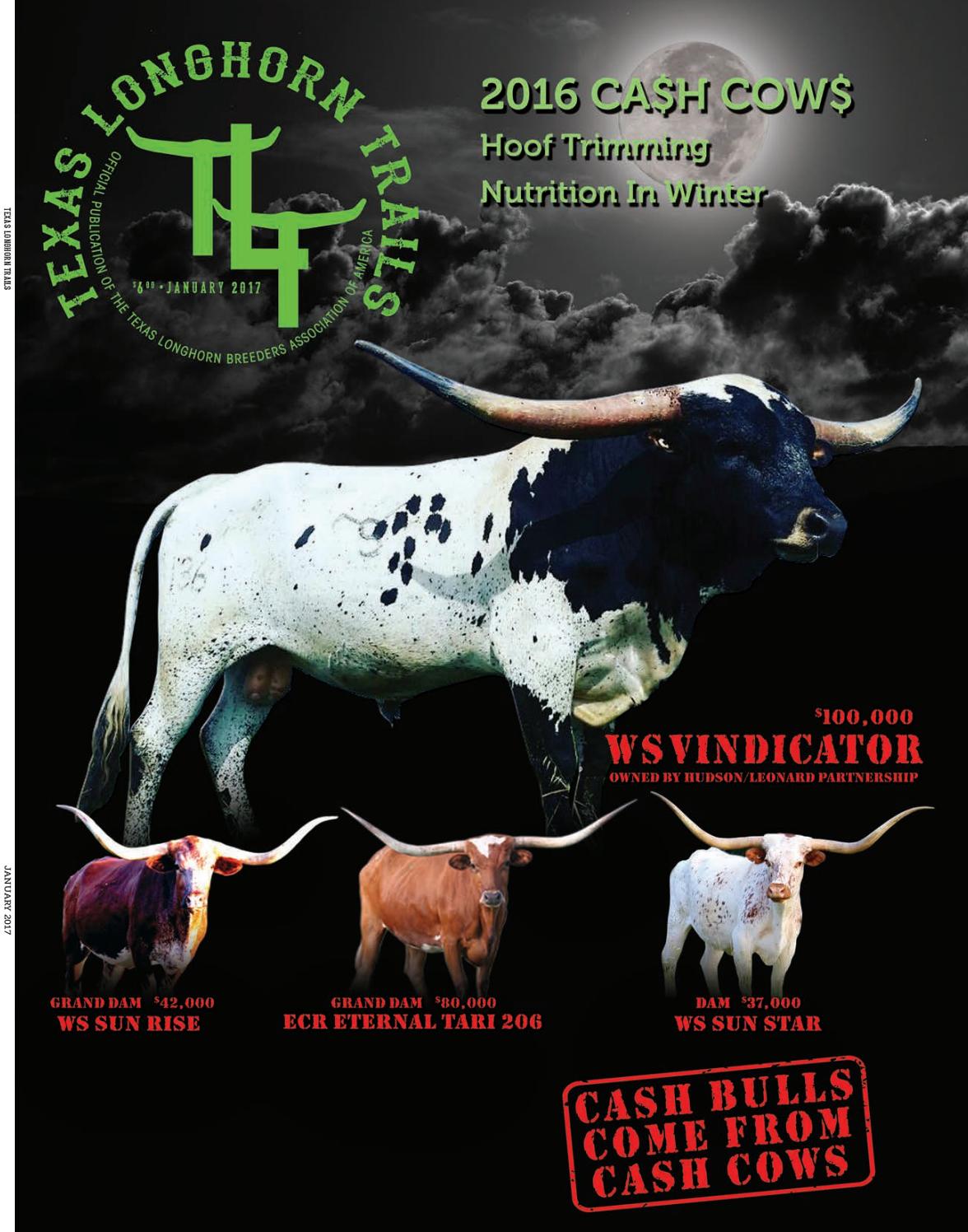 August 2016 texas longhorn trails magazine by texas longhorn ...