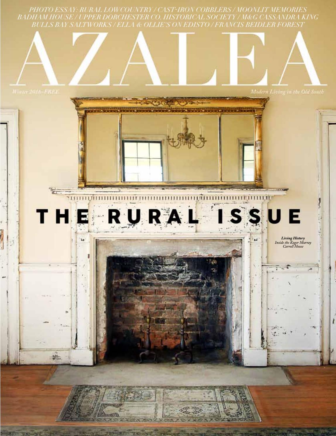 Palmetto magazine spring/summer 2015 by azaleamedia issuu