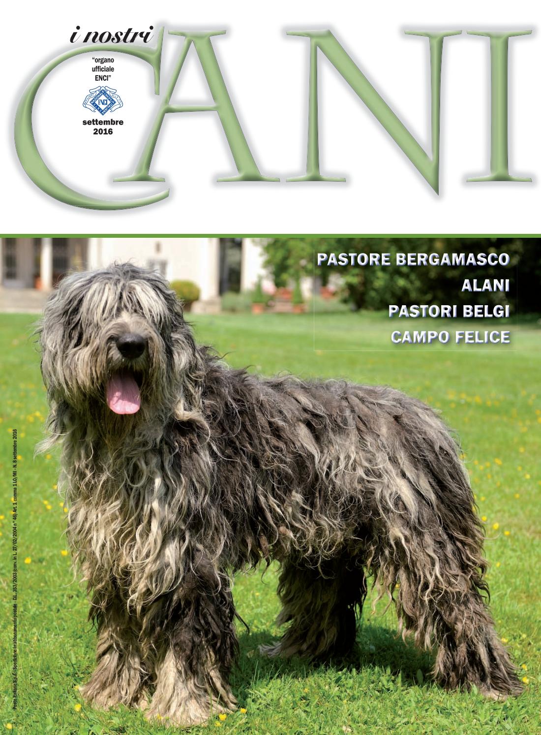 I nostri cani luglio/agosto 2014 by enci ente nazionale ... Recinto creativo Cane
