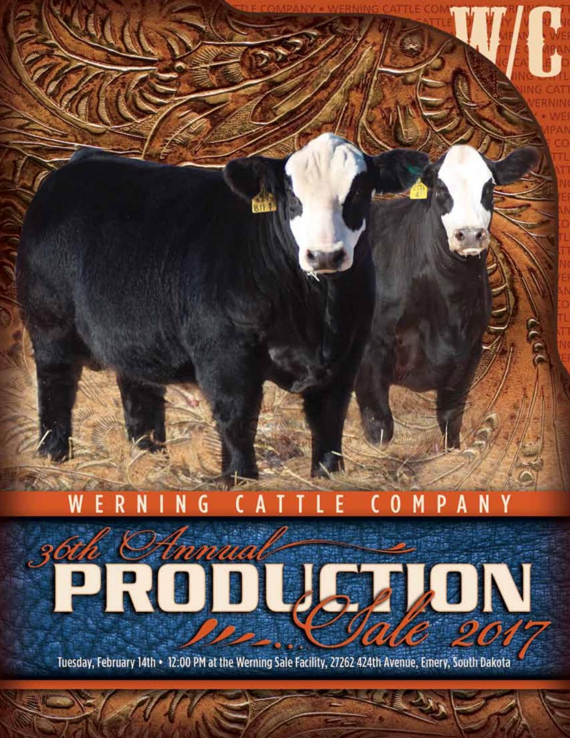 Werning Cattle Sale Catalog 2017 by Eberspacher Enterprises issuu